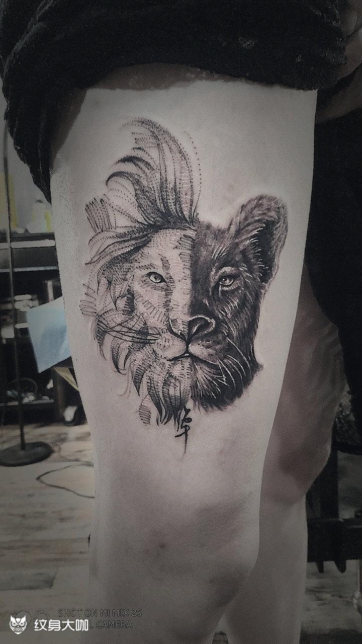 狮子_纹身图案手稿图片_常猛的纹身作品集
