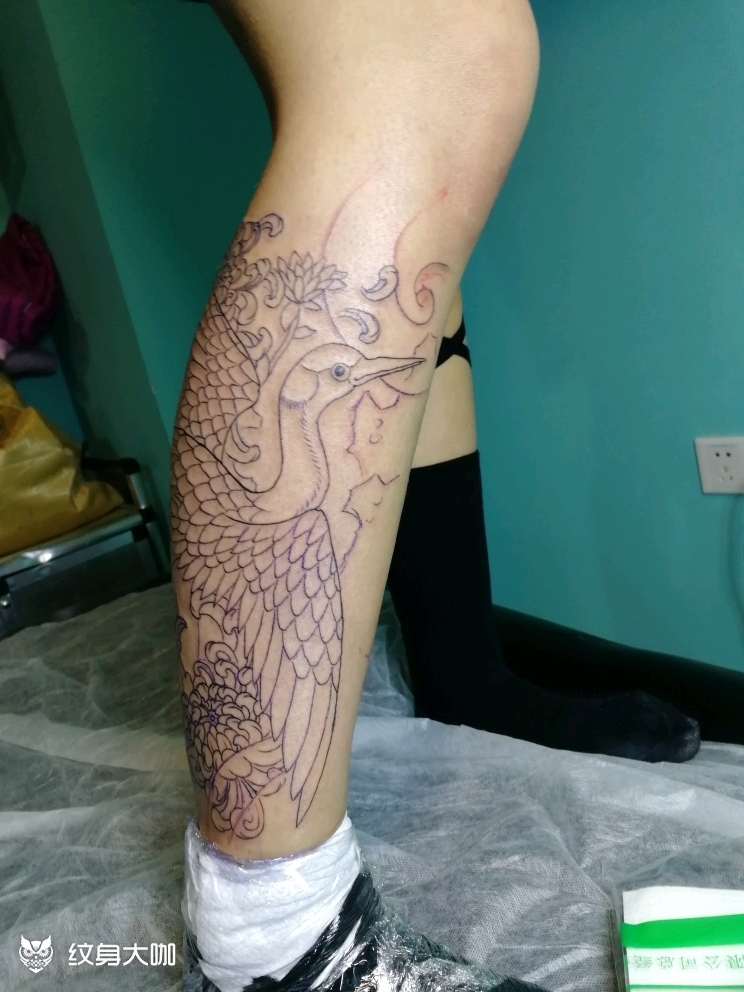 仙鹤 菊花_纹身图案手稿图片_鹏的纹身作品集