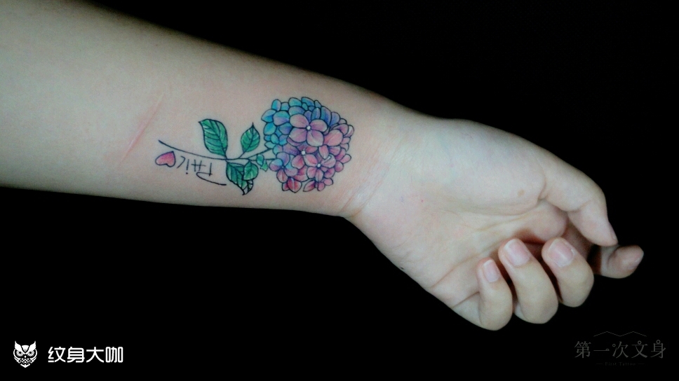 绣球花_纹身图案手稿图片_firsttattoo的纹身作品集