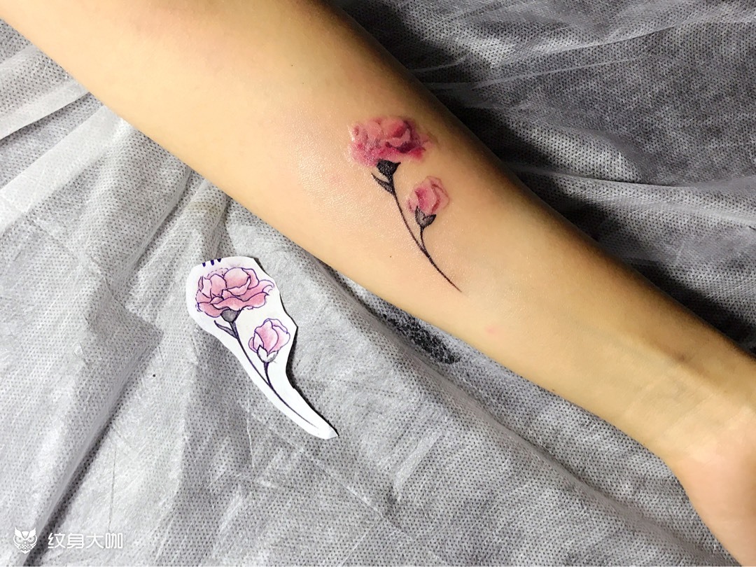 康乃馨_纹身图案手稿图片_伊依的纹身作品集