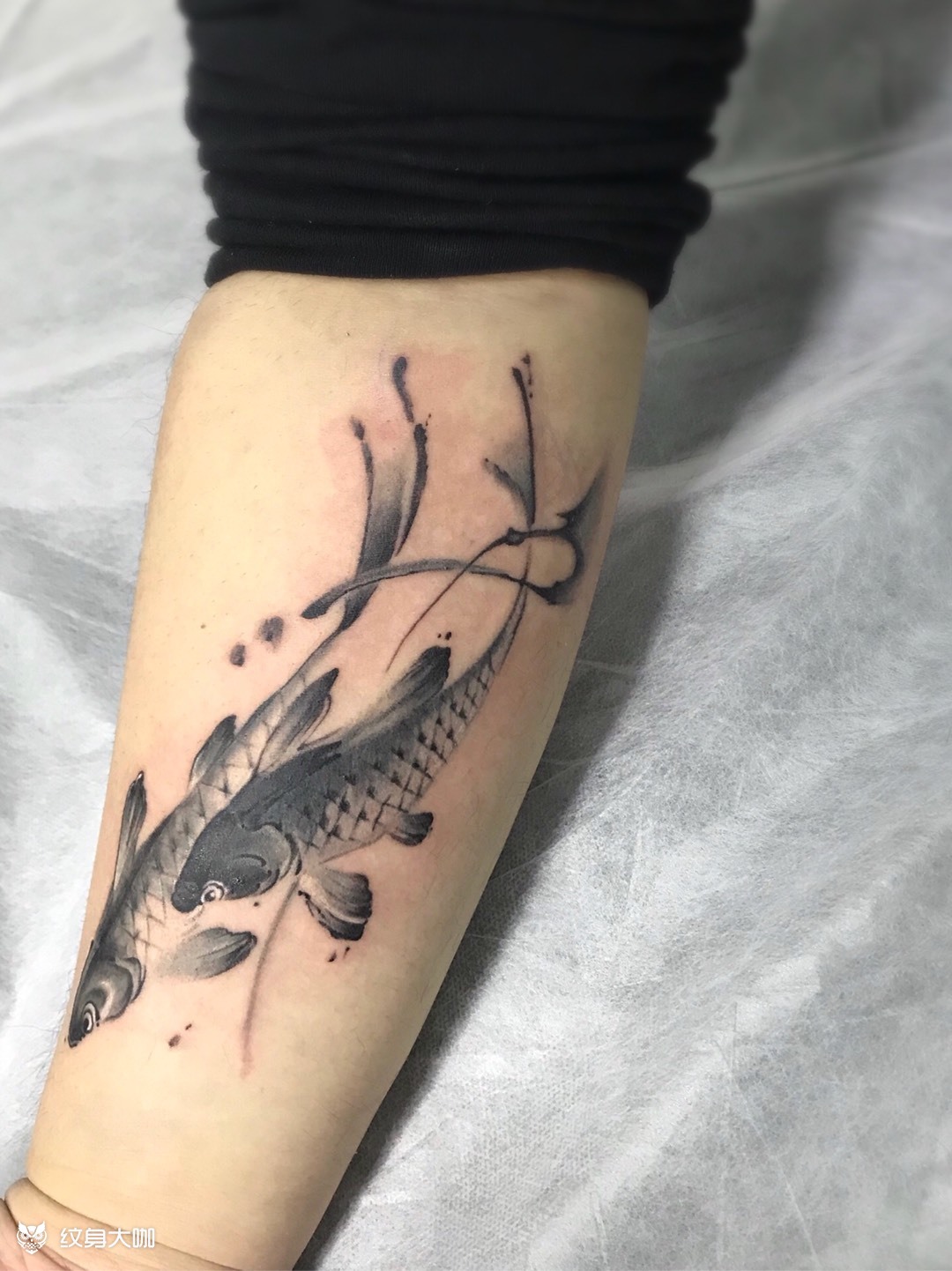 水墨鲤鱼_纹身图案手稿图片_宇龄的纹身作品集