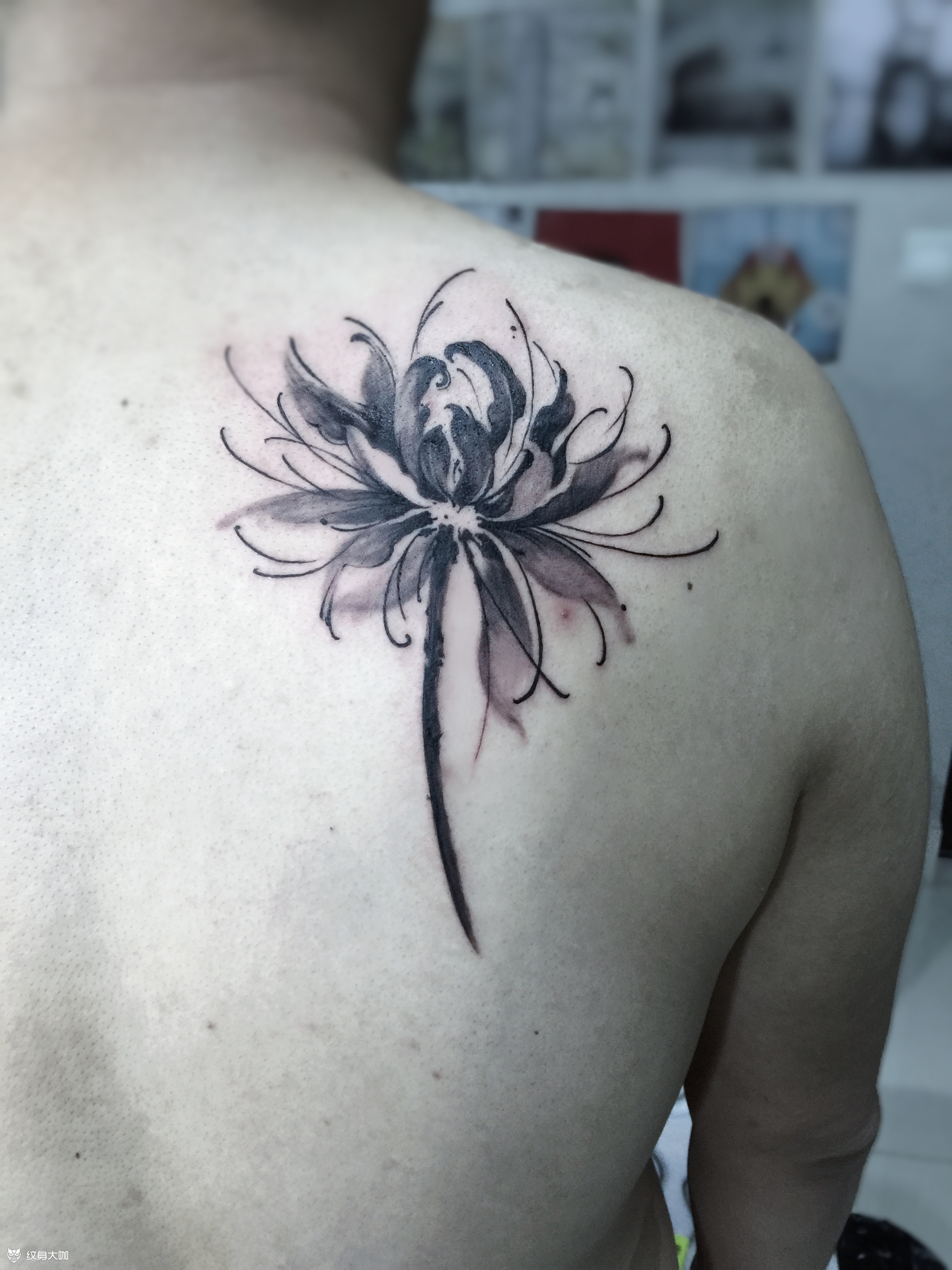 水墨彼岸花_纹身图案手稿图片_纹绮的纹身作品集