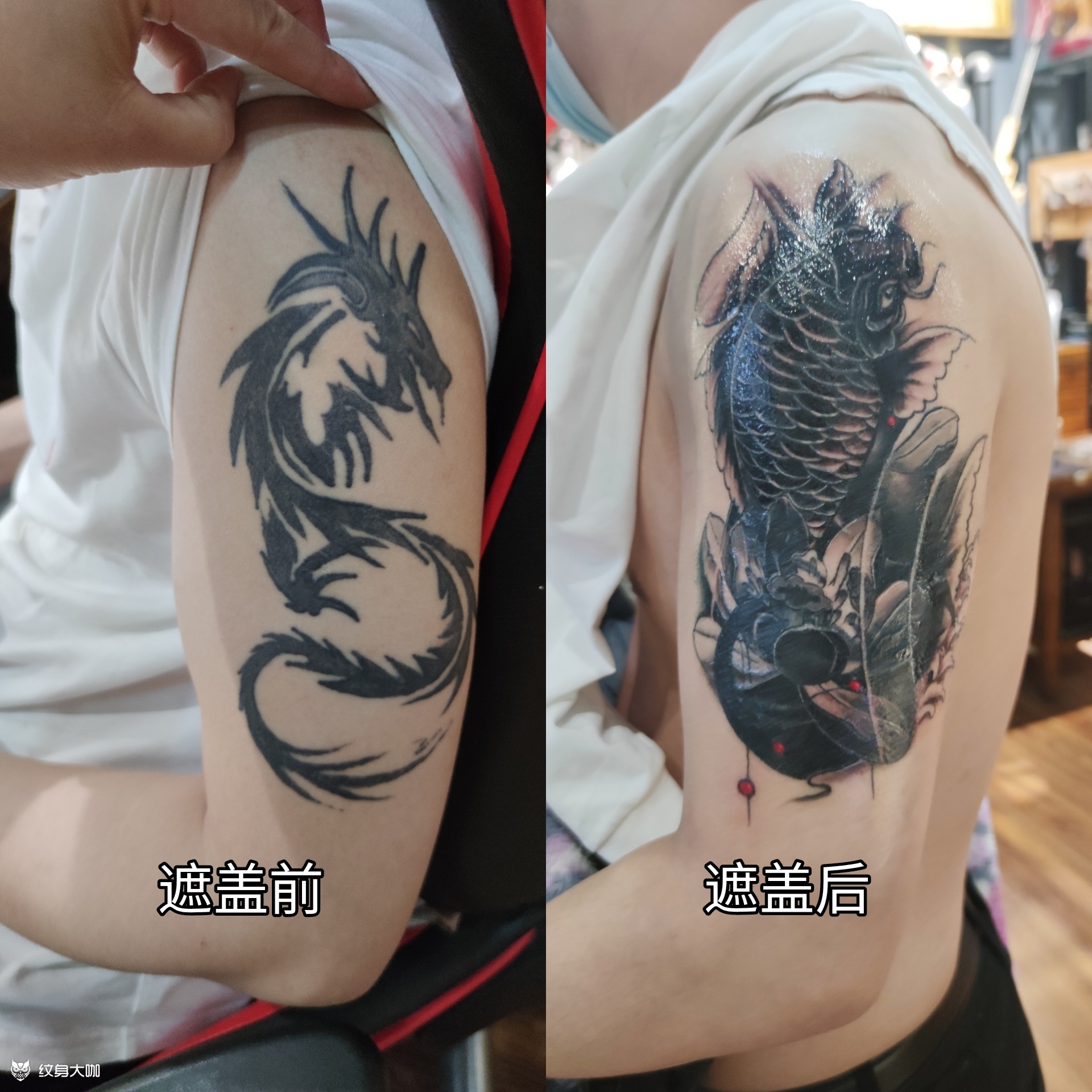 图腾遮盖-鲤鱼荷花_纹身吧社区 - 纹身大咖