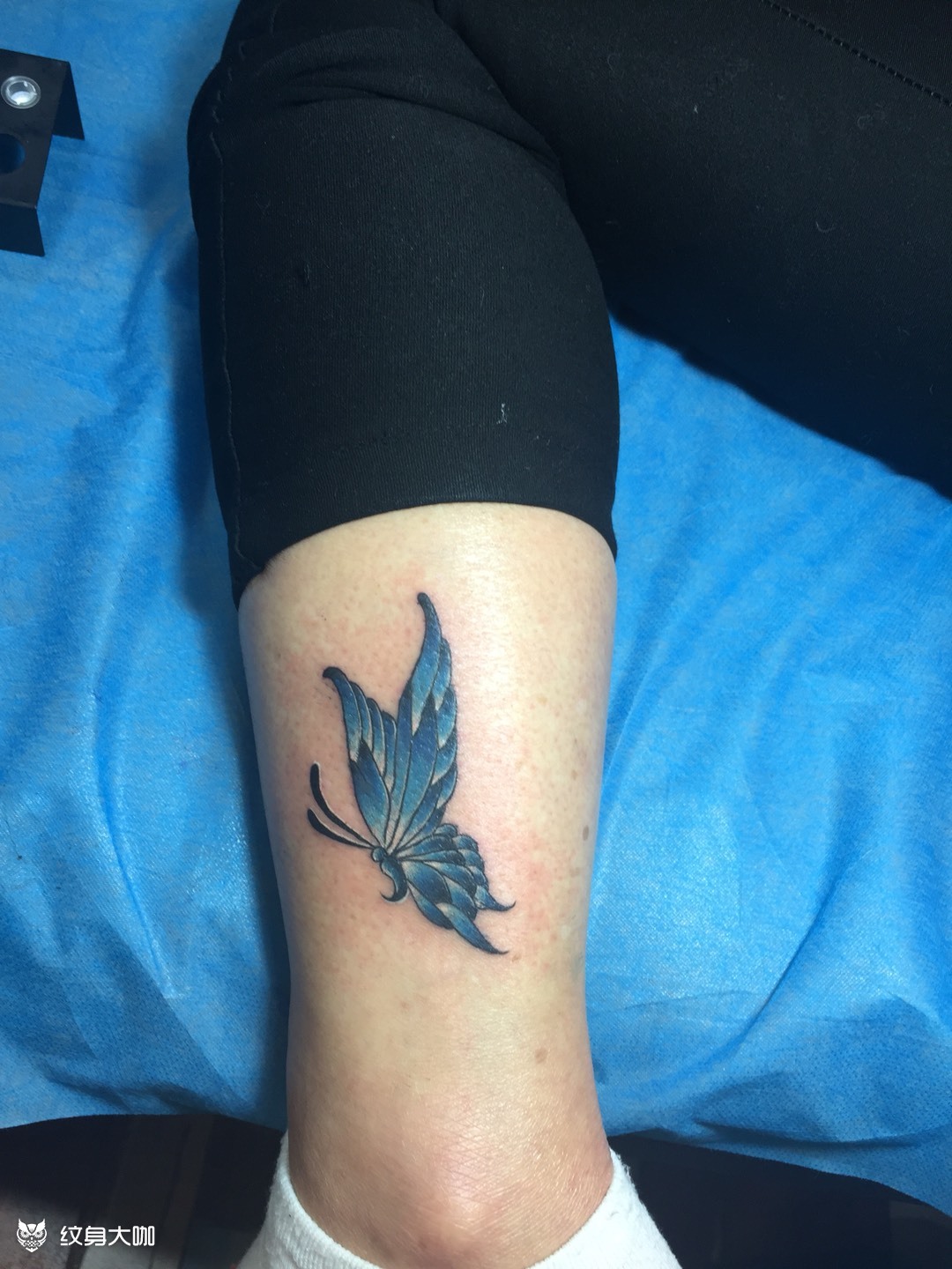 脚踝蝴蝶_纹身图案手稿图片_太和的纹身作品集