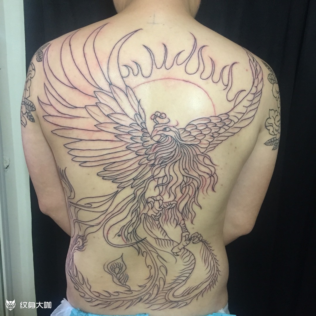 朱雀……_纹身图案手稿图片_徐松的纹身作品集