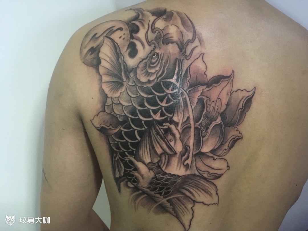 鲤鱼_纹身图案手稿图片_rabbit的纹身作品集