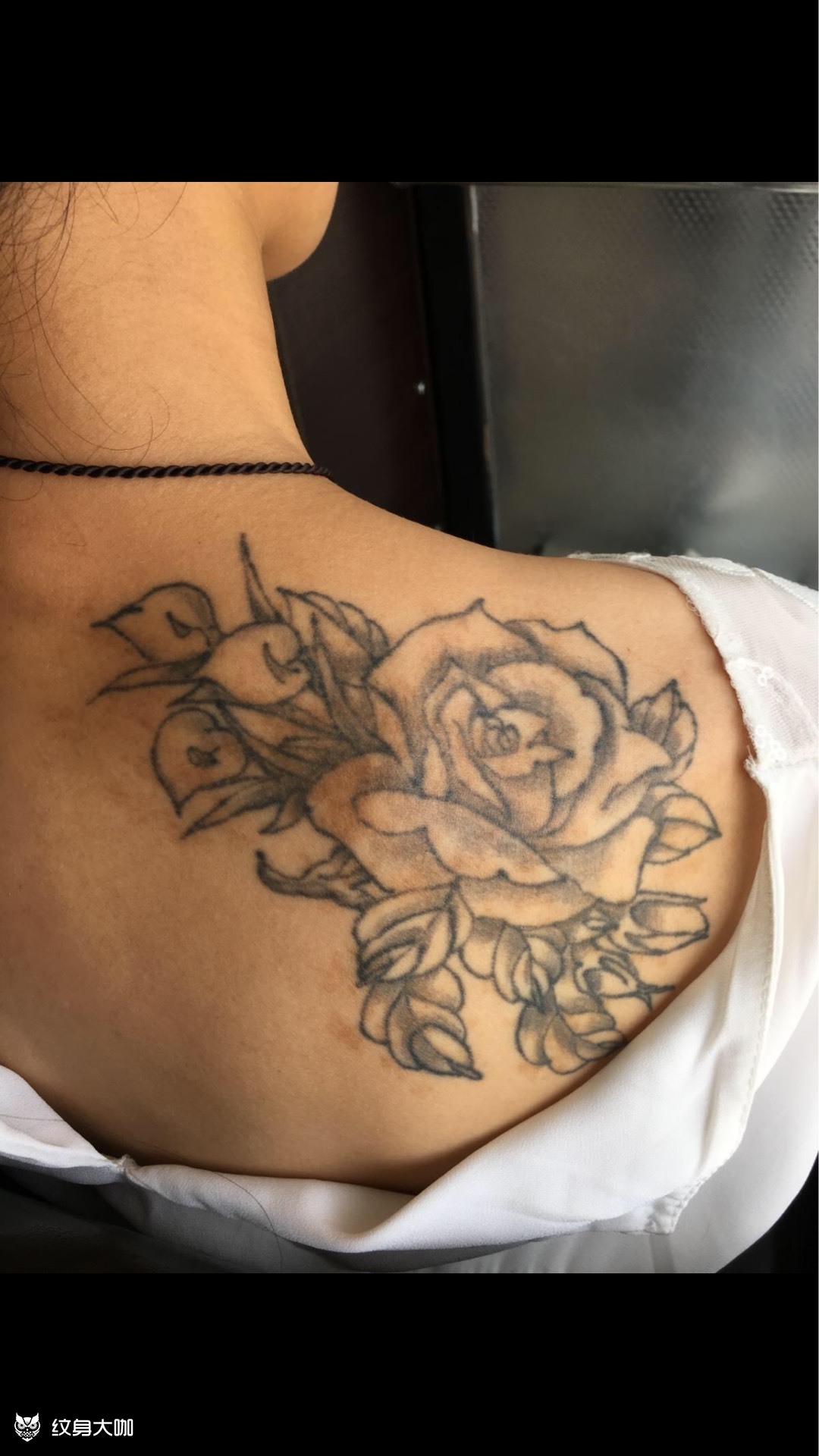 十年前的月季95_纹身图案手稿图片_金剪刀纹身的纹身作品集