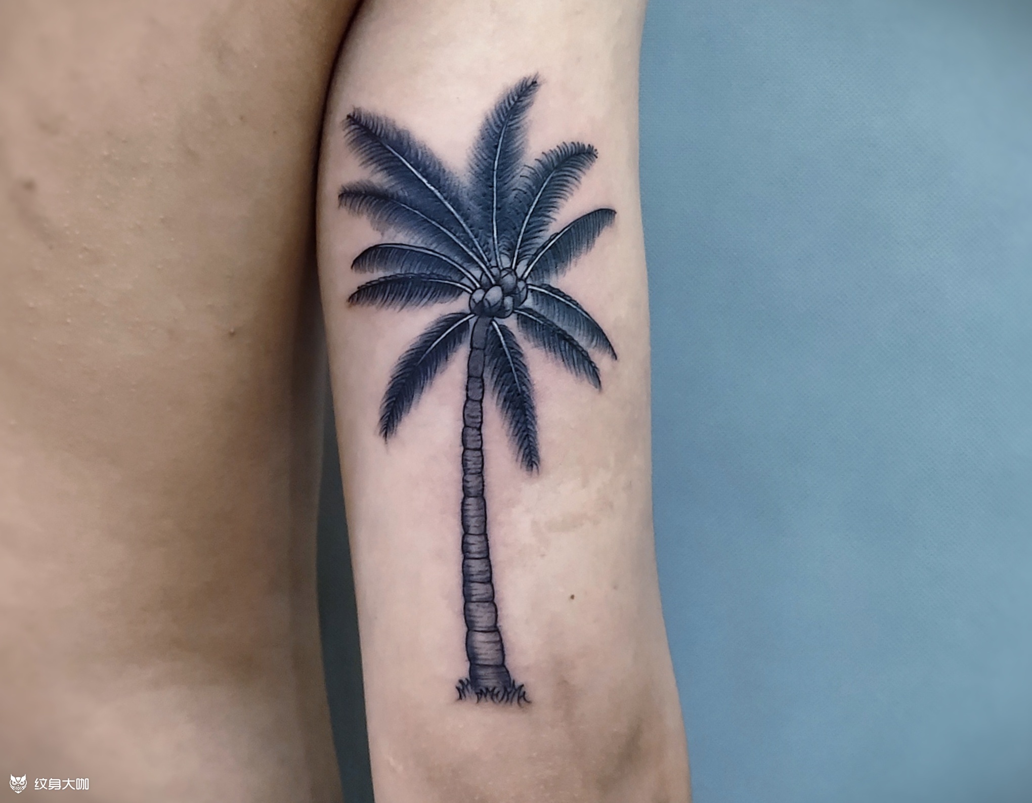 椰子树_纹身图案手稿图片_老蒋的纹身作品集
