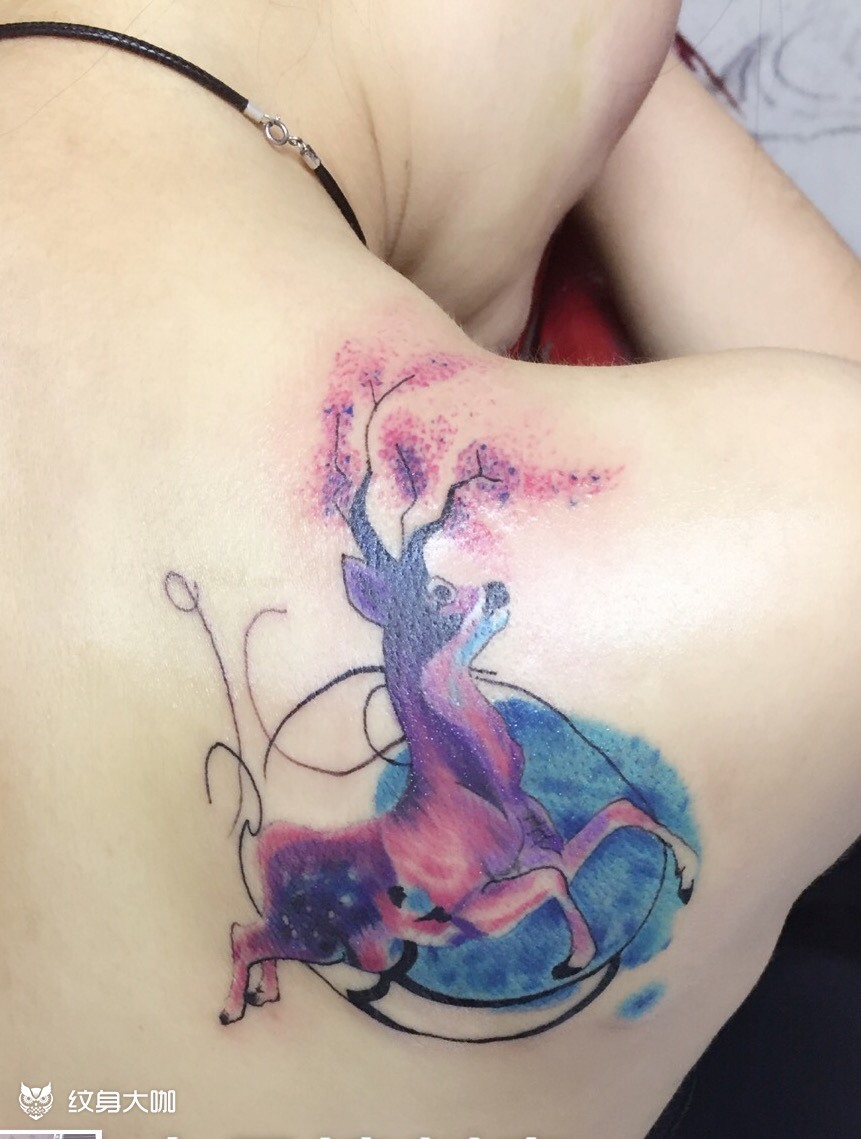 梅花鹿_纹身图案手稿图片_大伟的纹身作品集