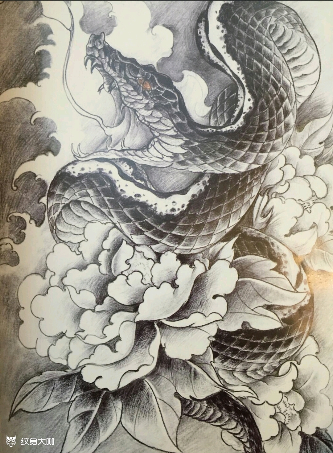 蛇_纹身图案手稿图片_毛芝炳的纹身作品集