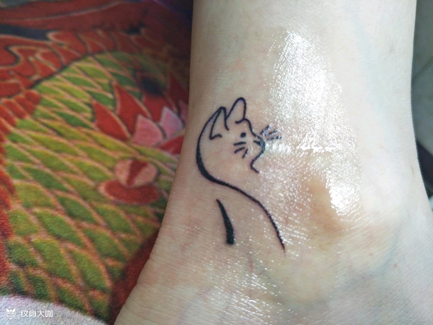 极简小猫_纹身图案手稿图片_王军的纹身作品集