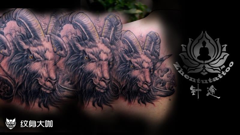 欧美羊头_纹身图案手稿图片_许定权的纹身作品集