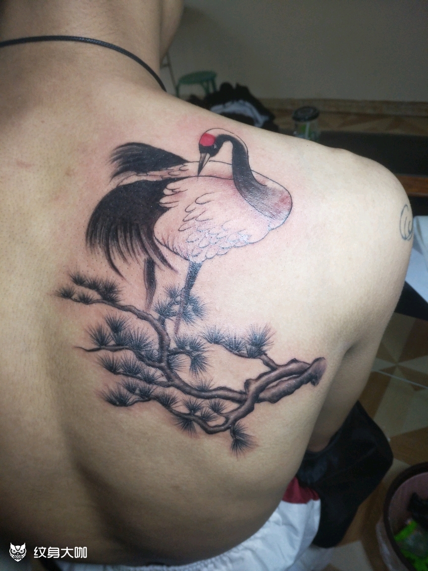 仙鹤_纹身图案手稿图片_杨裕松的纹身作品集
