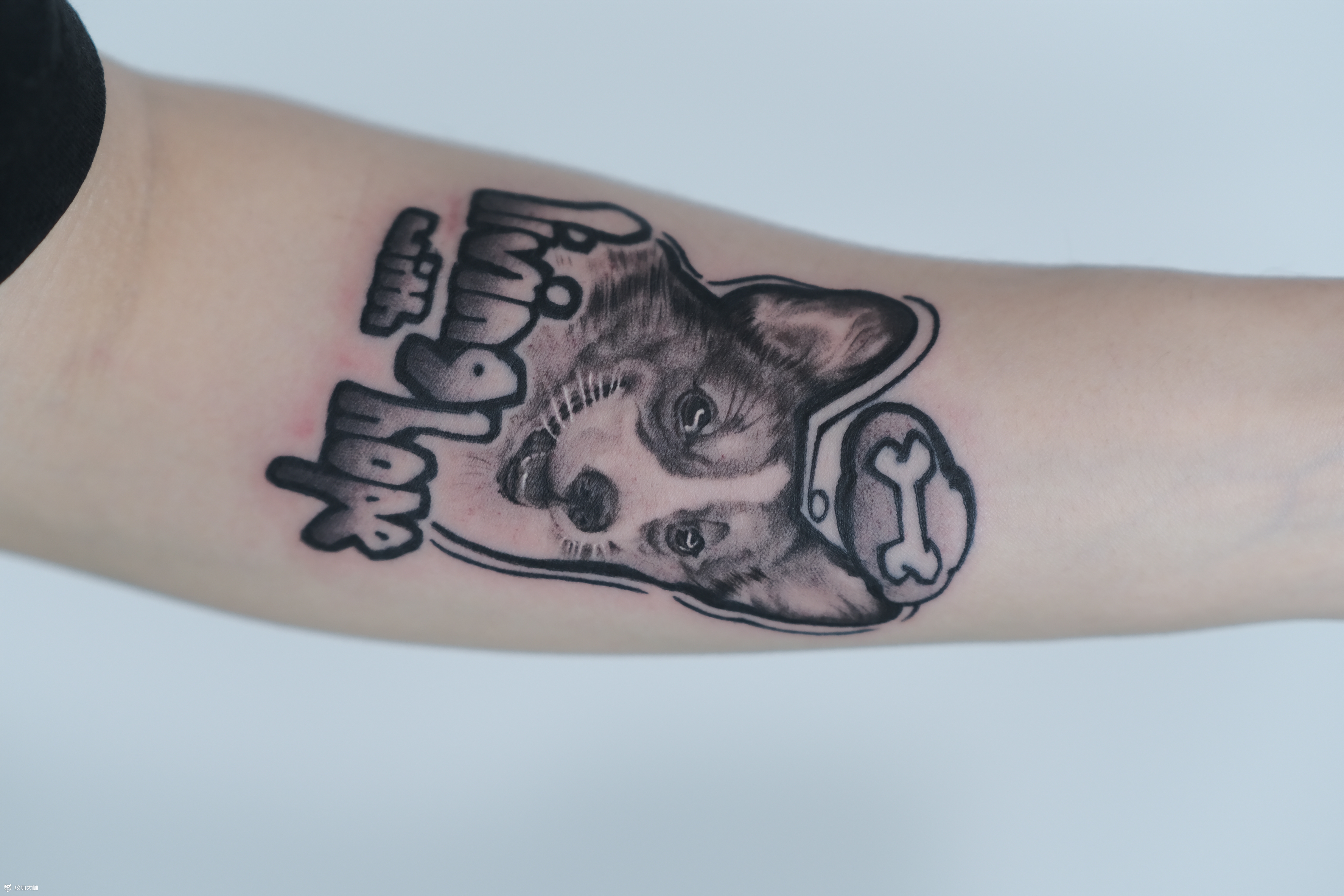 可爱小柯基_纹身图案手稿图片_龙的纹身作品集