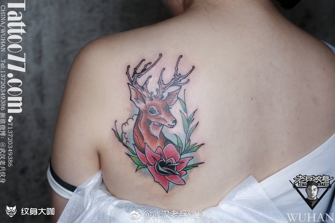 后背鹿纹身_纹身图案手稿图片_兵哥的纹身作品集