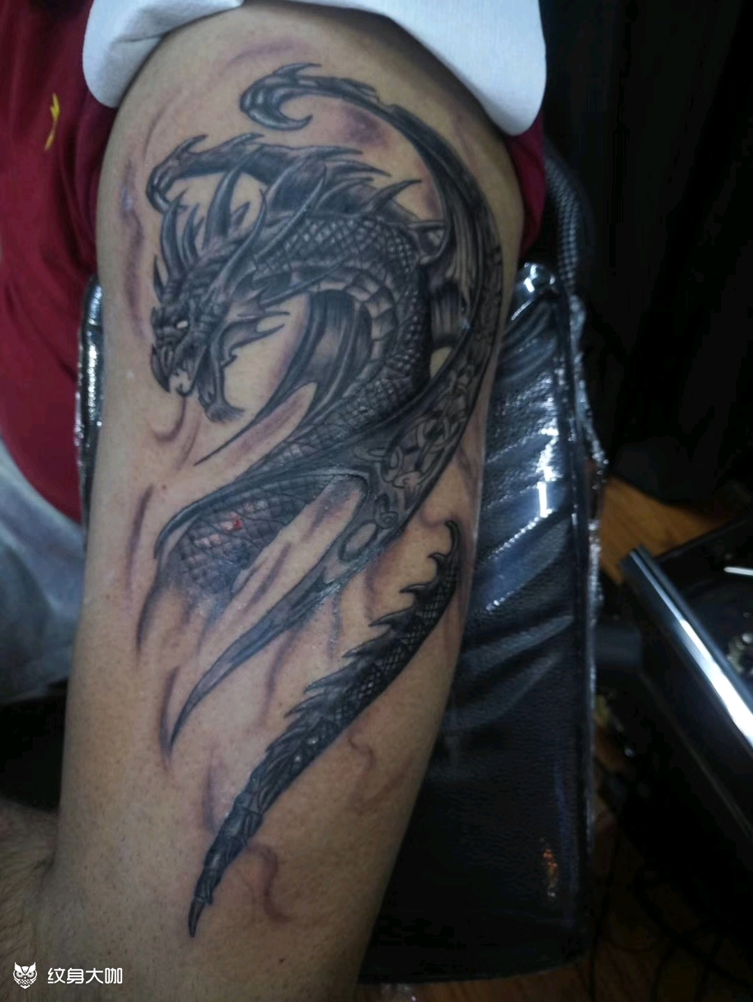 翼龙_纹身图案手稿图片_雕牛马的纹身作品集