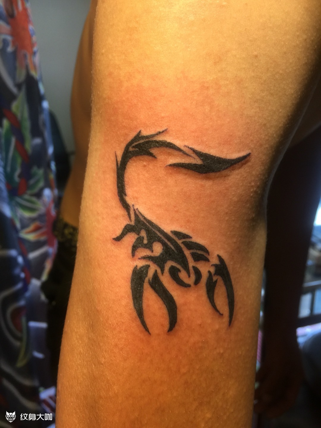 蝎子图腾_纹身图案手稿图片_王烽的纹身作品集