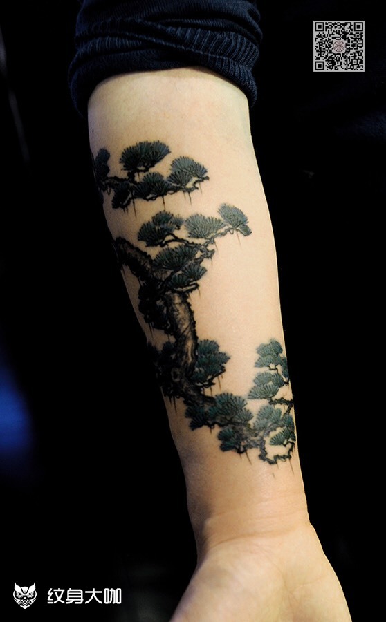 松树_纹身图案手稿图片_一阳的纹身作品集