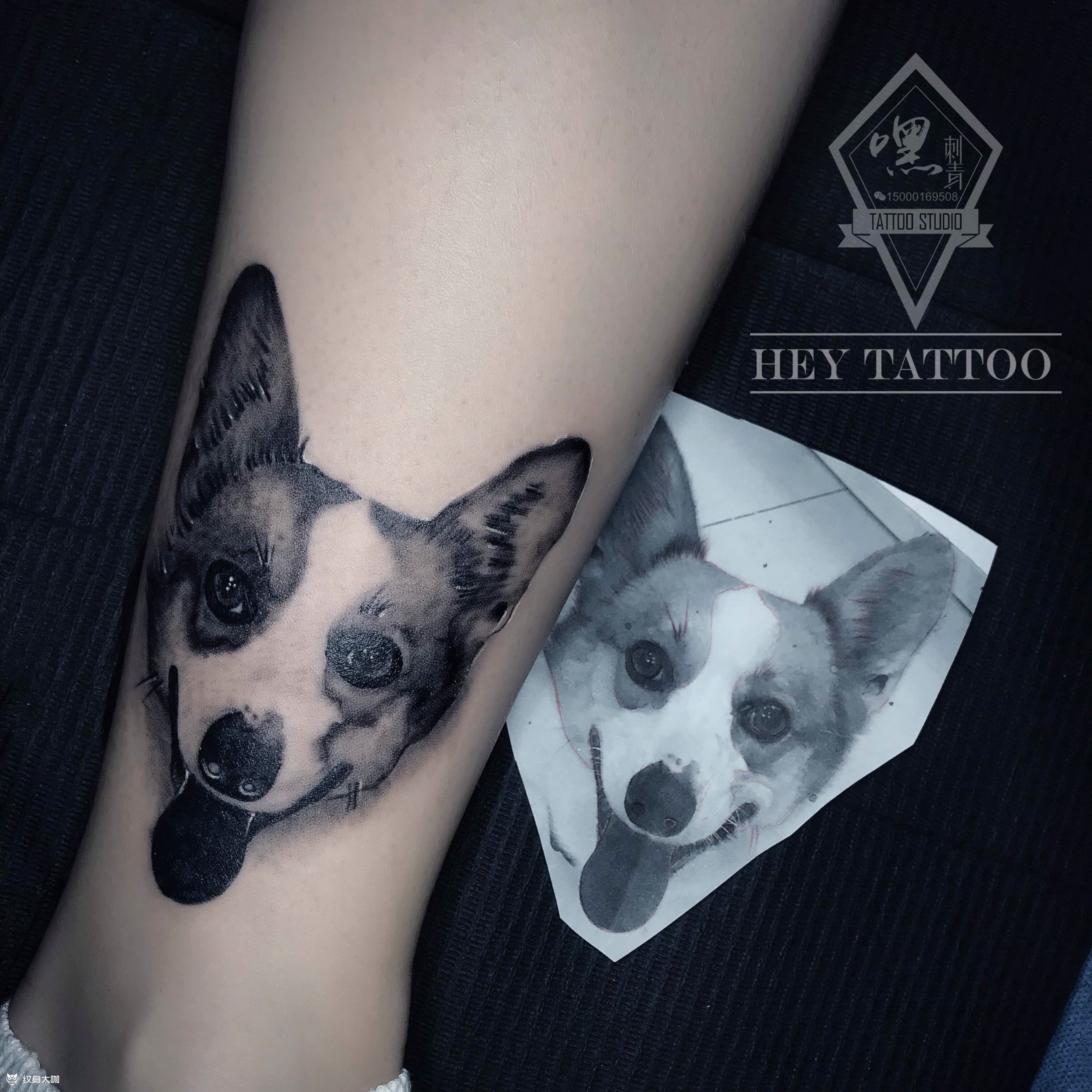 柯基_纹身图案手稿图片_陈家明的纹身作品集
