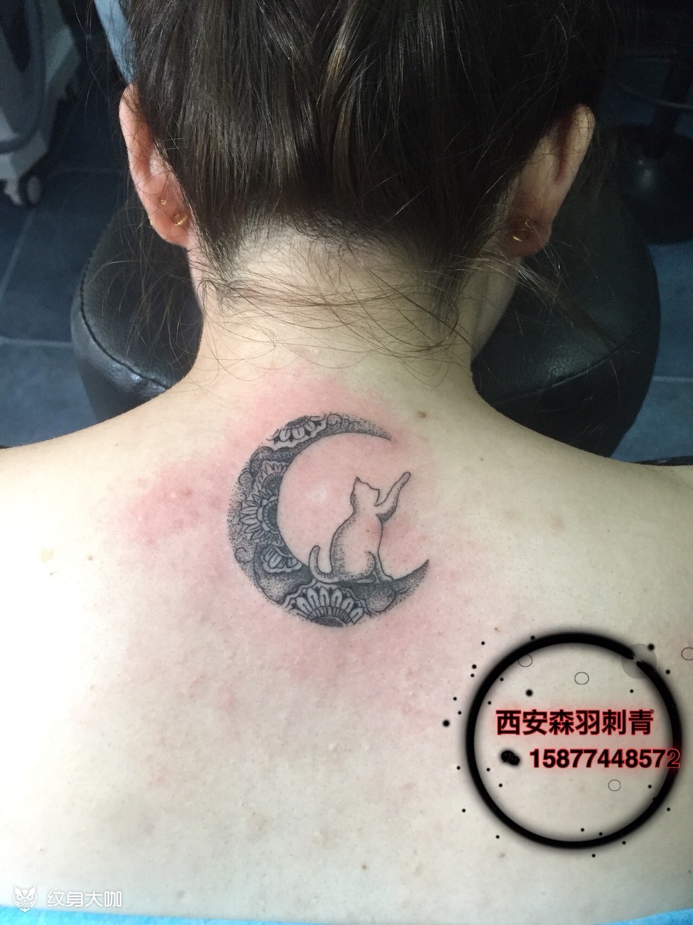 点刺月亮猫咪_纹身图案手稿图片_kay的纹身作品集