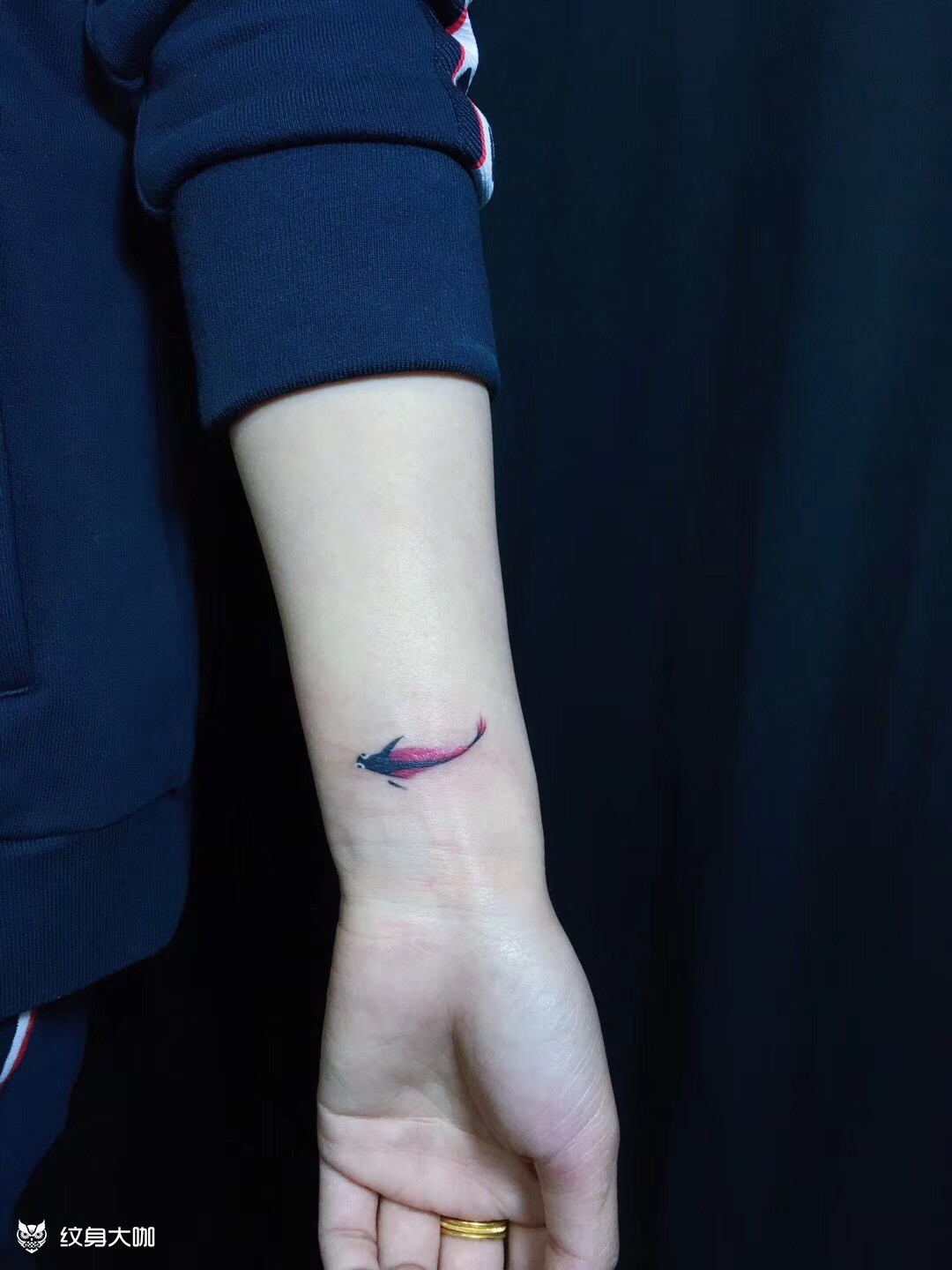 小鱼_纹身图案手稿图片_衡水新刺客的纹身作品集