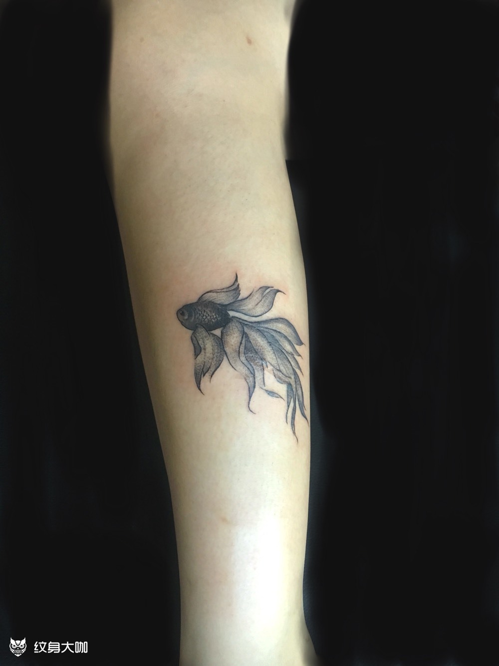 小鱼_纹身图案手稿图片_木村的纹身作品集