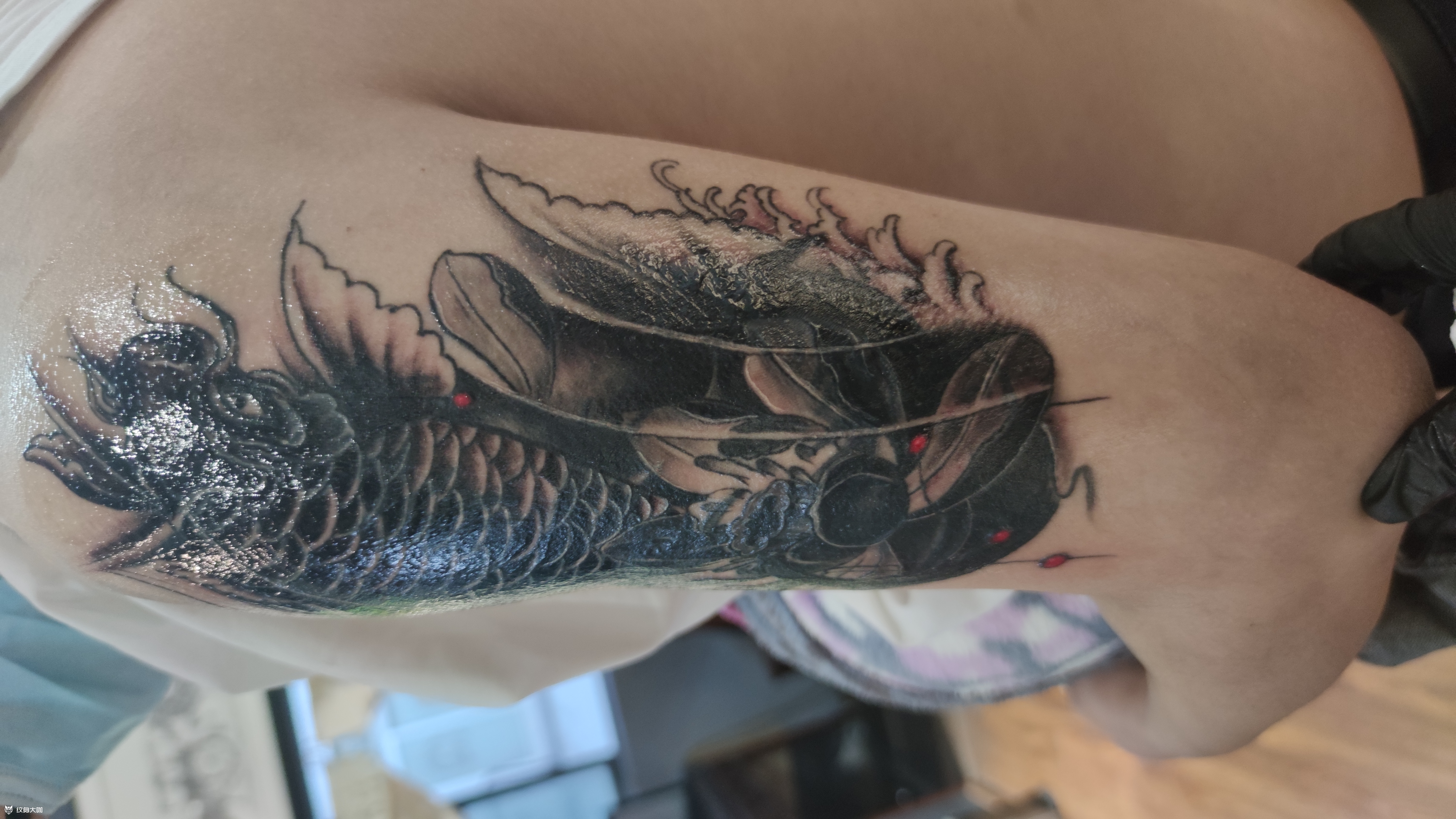 图腾遮盖-鲤鱼荷花_纹身吧社区 - 纹身大咖