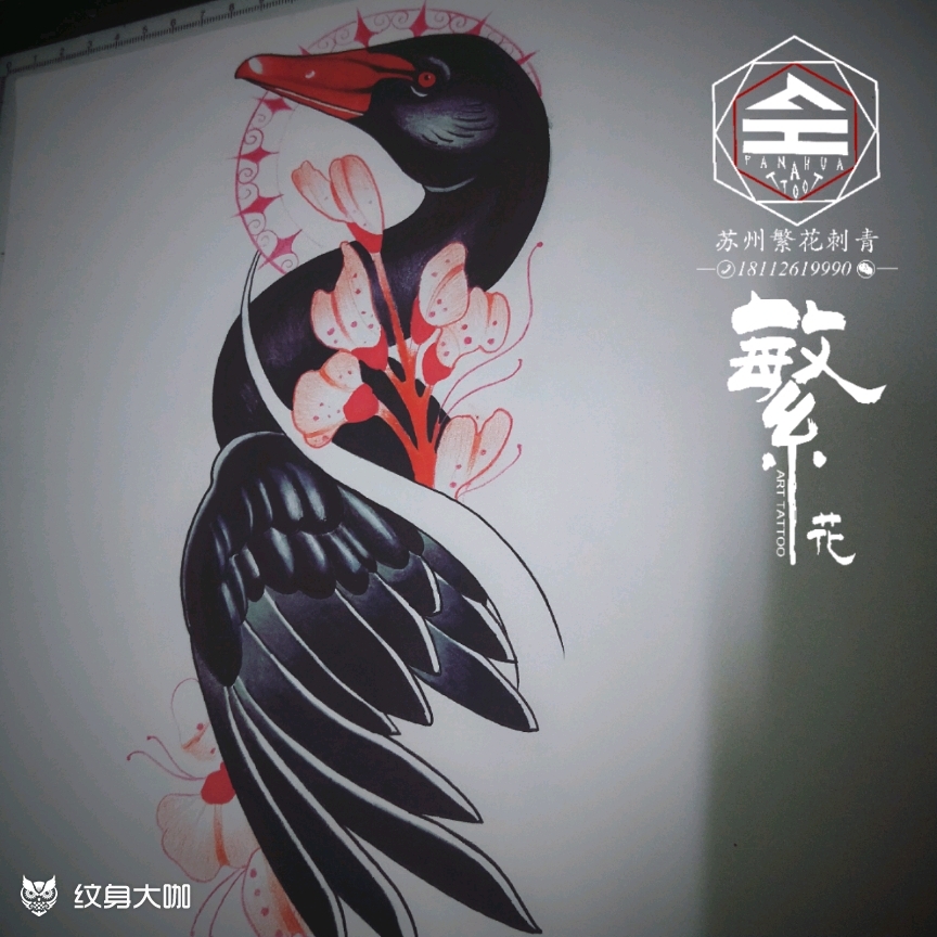 黑天鹅_纹身图案手稿图片_黑泽的纹身作品集