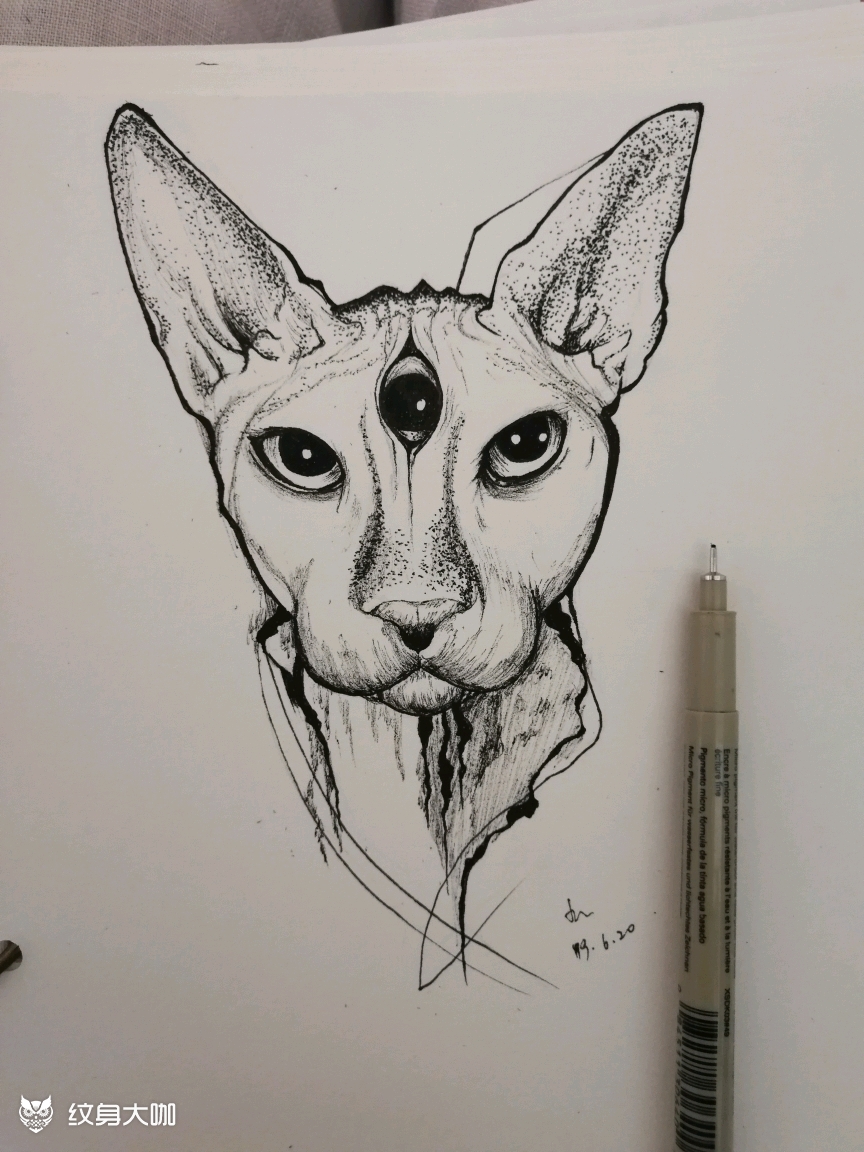 斯芬克斯猫_纹身图案手稿图片_楚晓的纹身作品集