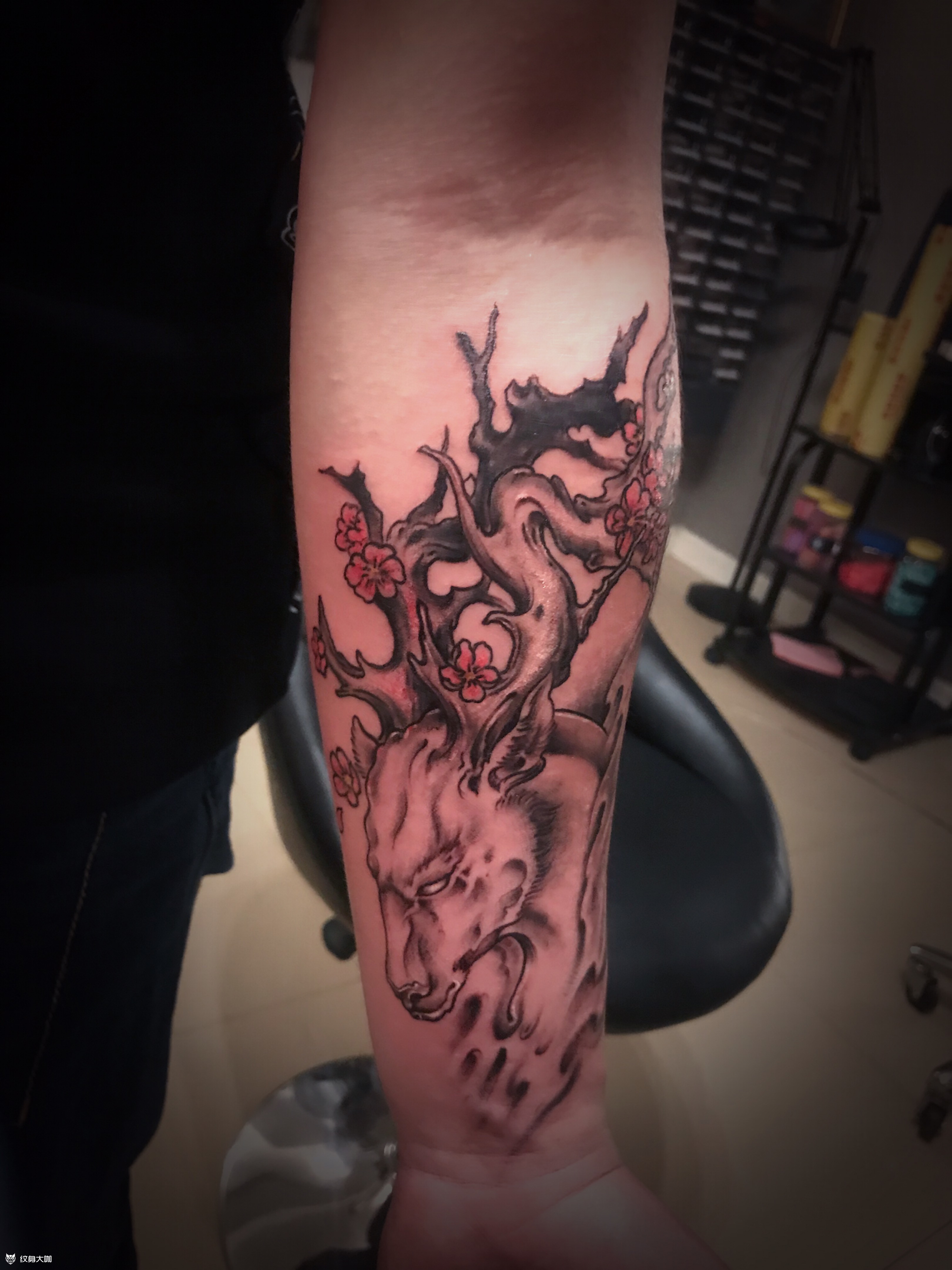 新传统 鹿头_纹身图案手稿图片_小水的纹身作品集