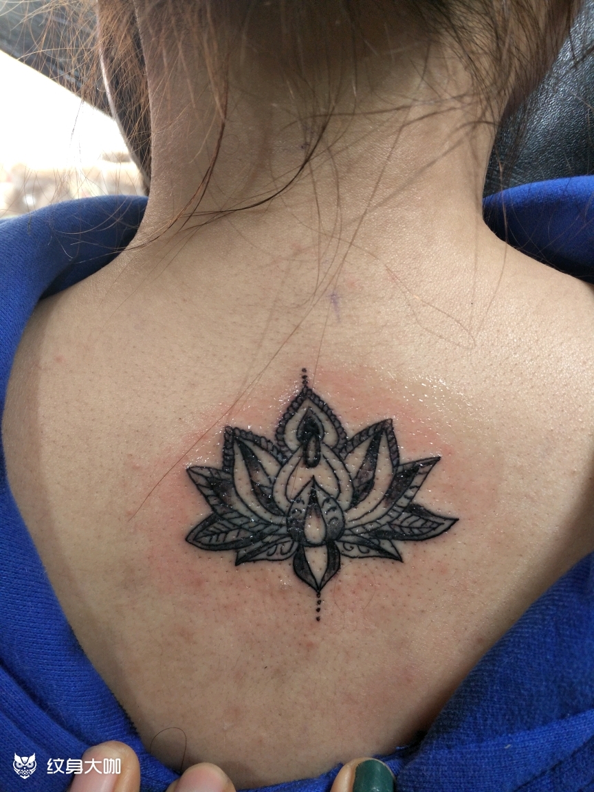 莲花_纹身图案手稿图片_妖精的纹身作品集