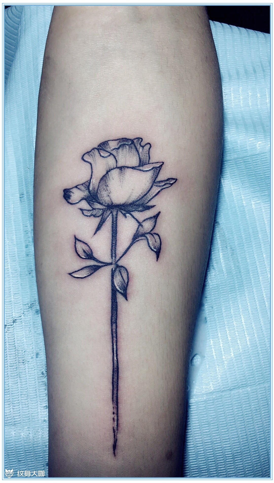 玫瑰素花_纹身图案手稿图片_阿昊的纹身作品集