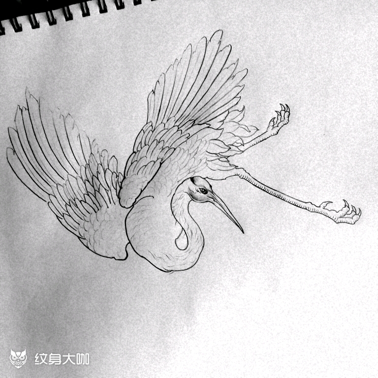 鹤_纹身图案手稿图片_海东的纹身作品集