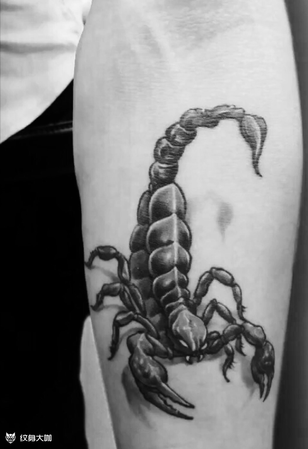 蝎子纹身手稿手上图片