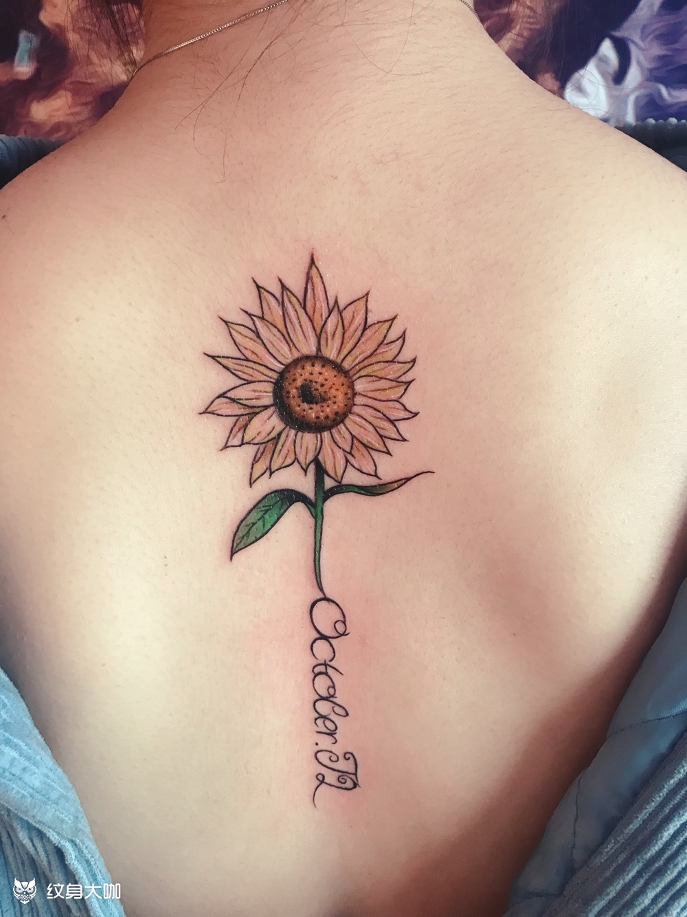 作品简介:顾客喜欢说它是太阳花