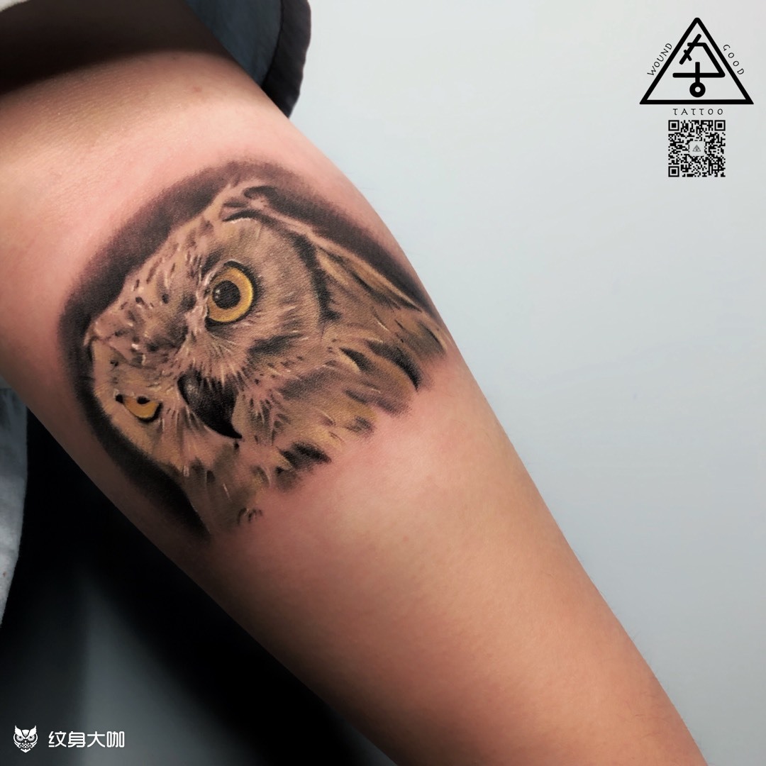猫头鹰_纹身图案手稿图片_韩函的纹身作品集