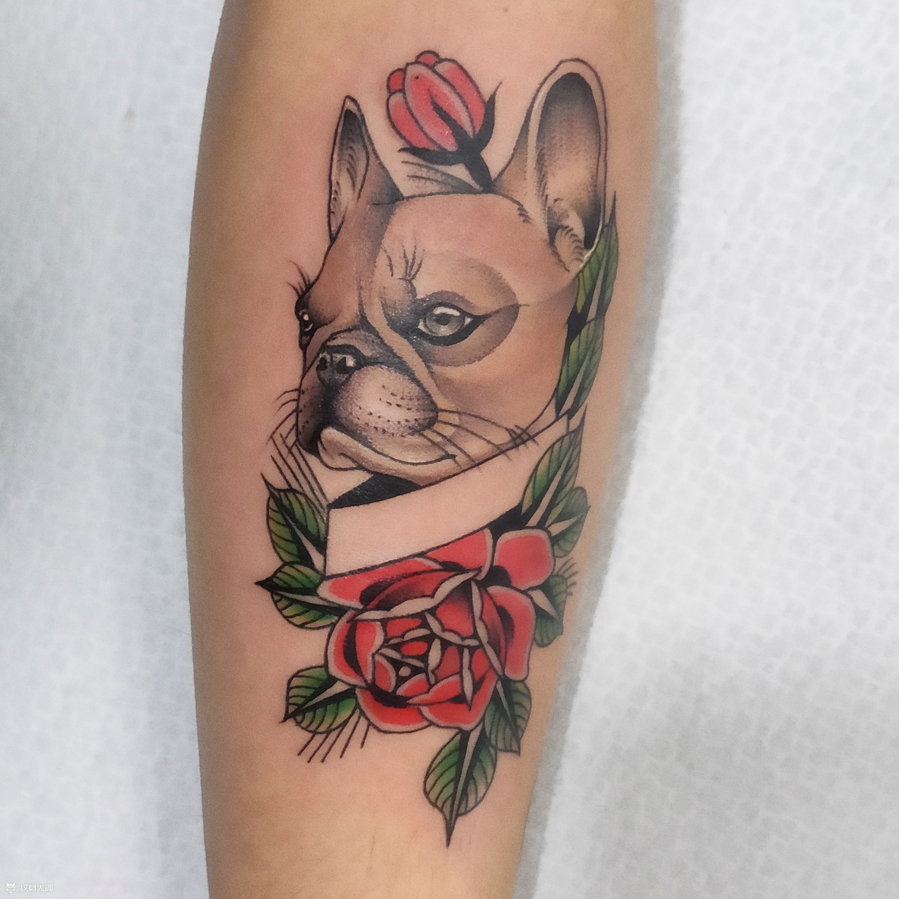 法斗修勾 |_纹身图案手稿图片_蔡旺兵的纹身作品集