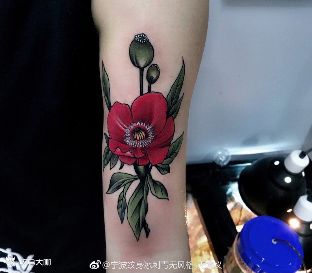 罂粟花_纹身图案手稿图片_啊冰的纹身作品集