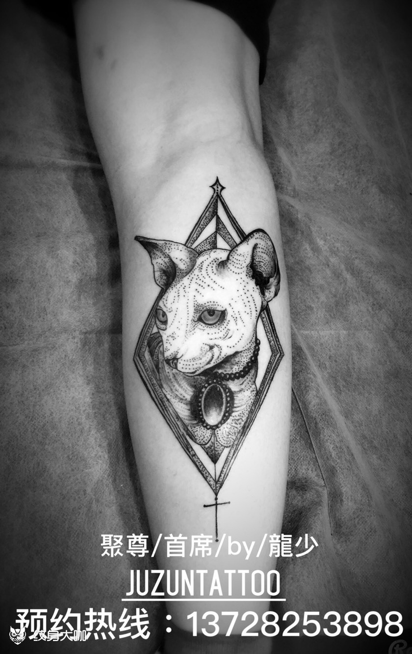 比鲁斯无毛猫_纹身图案手稿图片_聚尊龙少的纹身作品集