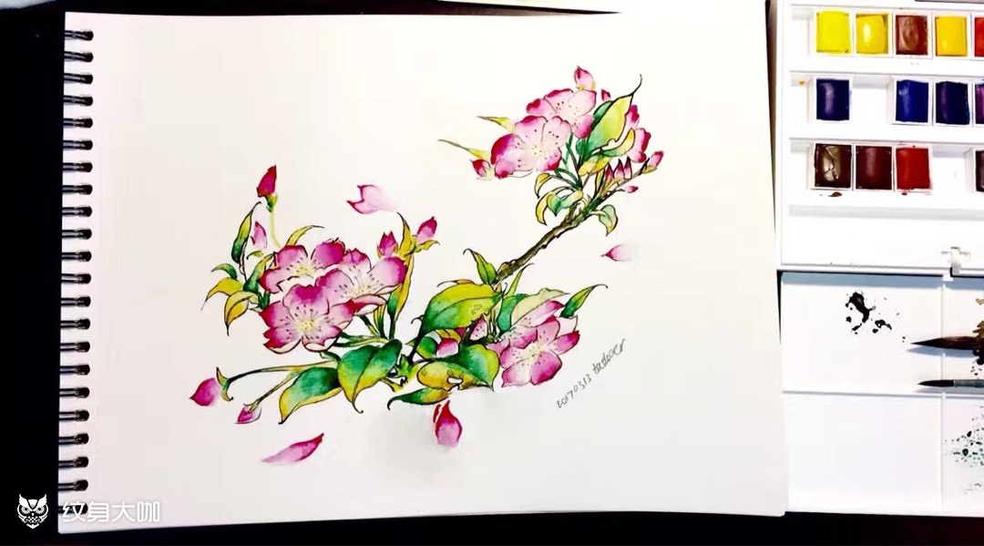 海棠花水彩纹身手稿