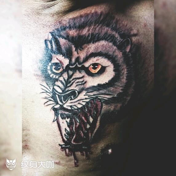 老式胸前滴血狼头_纹身图案手稿图片_杨.的纹身作品集