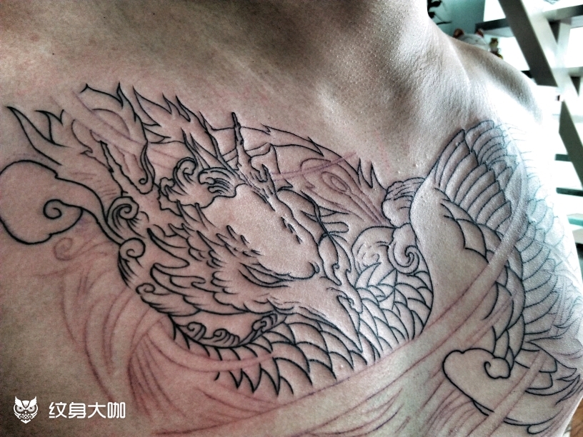 传统凤凰_纹身图案手稿图片_鲲97的纹身作品集