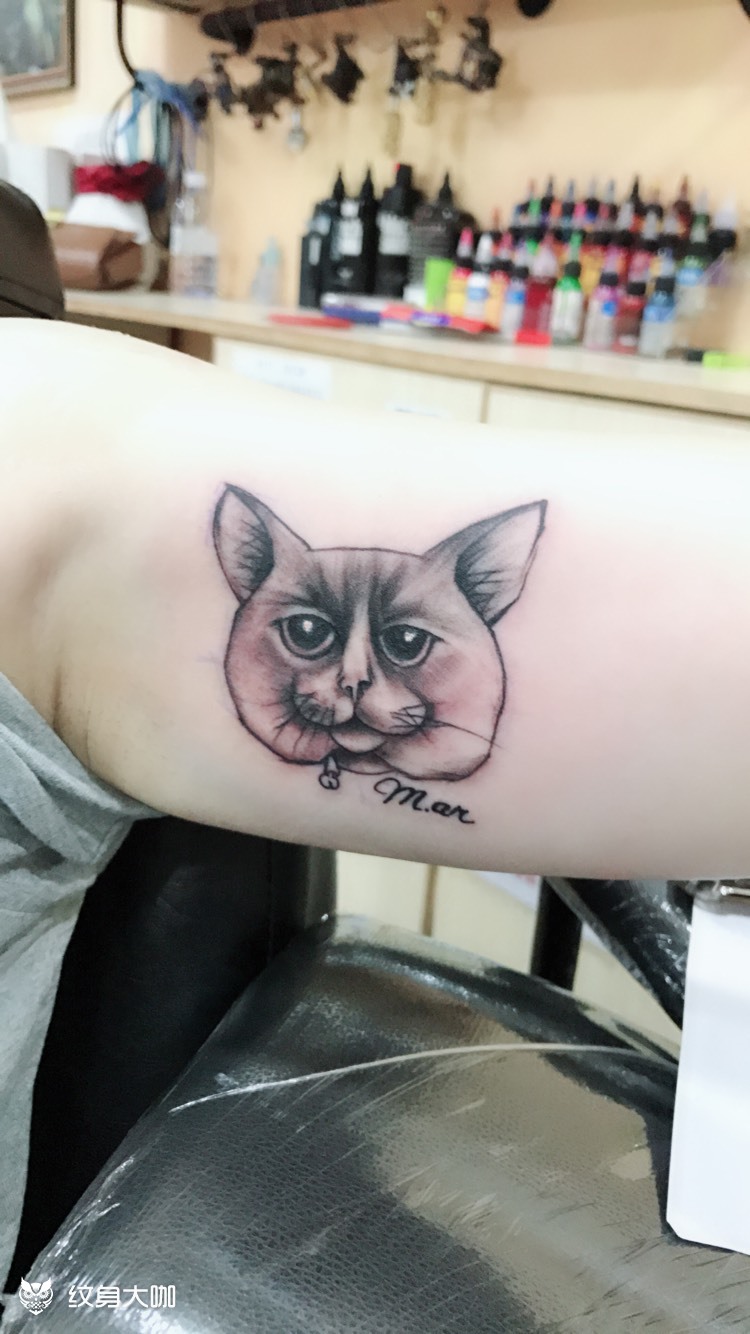 猫头_纹身图案手稿图片_帅哥的纹身作品集