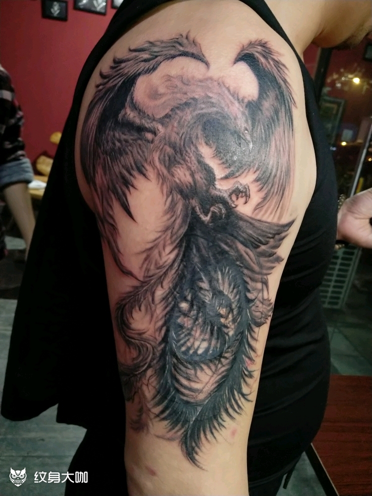 凤凰遮盖_纹身图案手稿图片_箓·刺的纹身作品集
