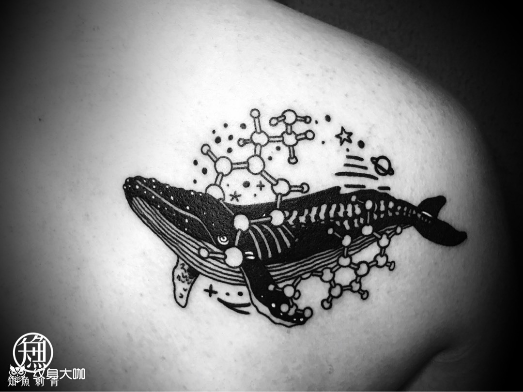 鲸鱼_纹身图案手稿图片_大牙的纹身作品集