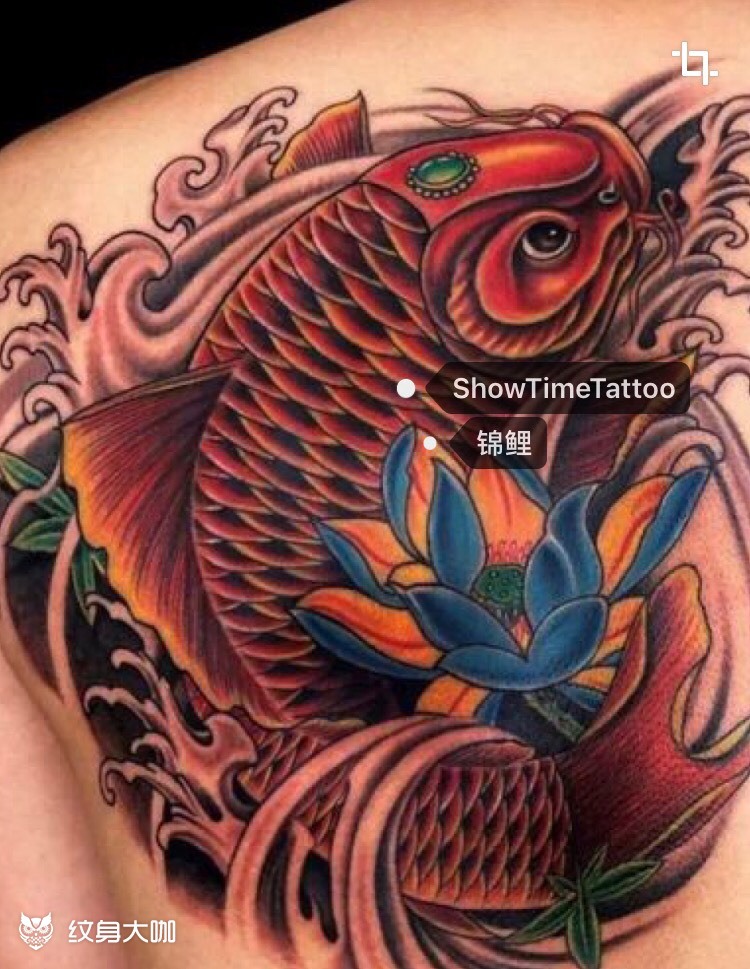 锦鲤,虎_纹身图案手稿图片_ocean的纹身作品集