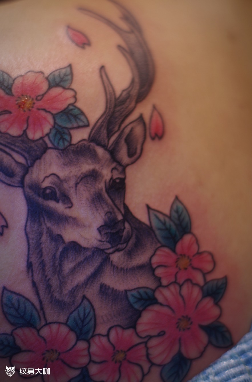 麋鹿_纹身图案手稿图片_橙子的纹身作品集