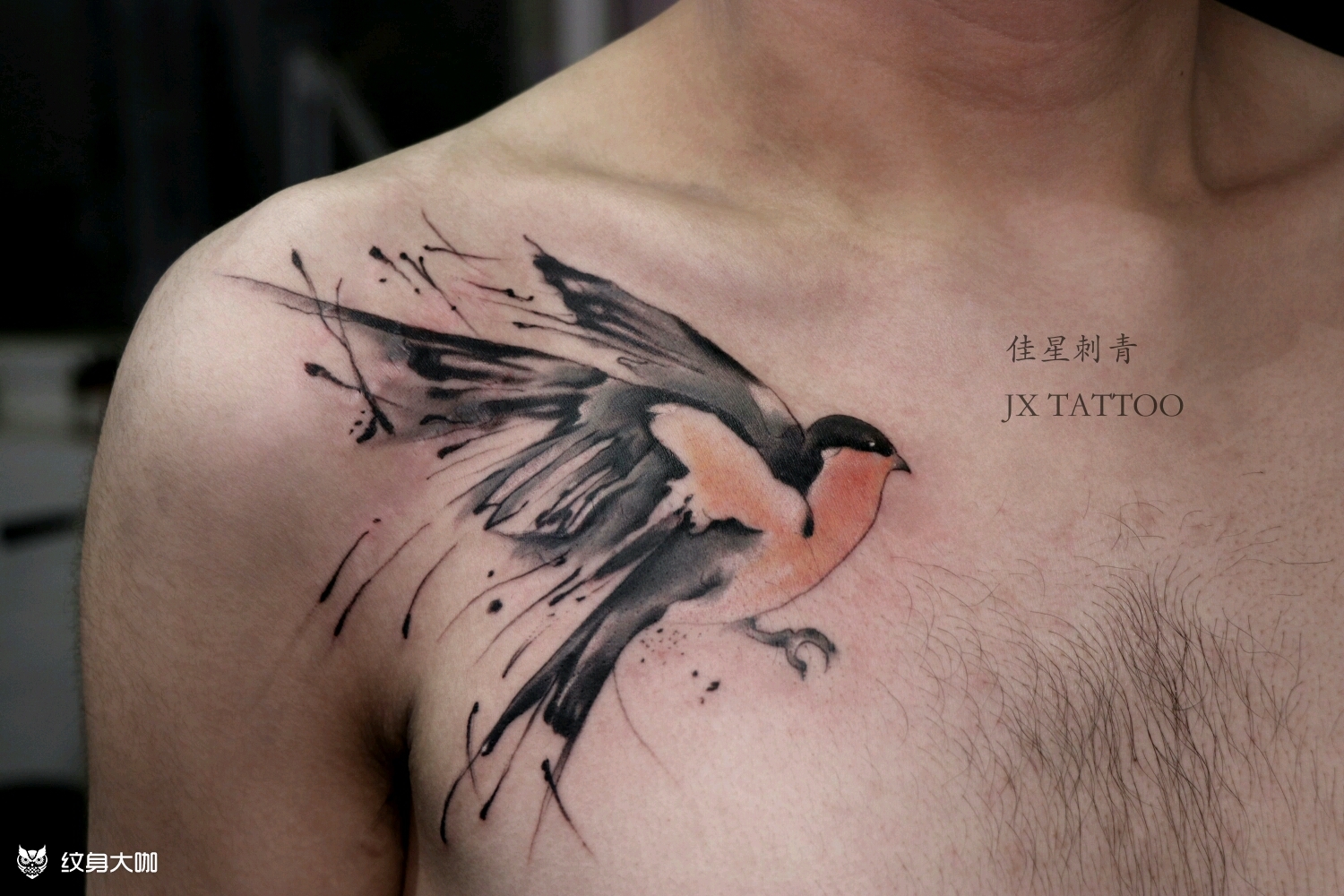水墨小燕子_纹身图案手稿图片_魏佳星的纹身作品集