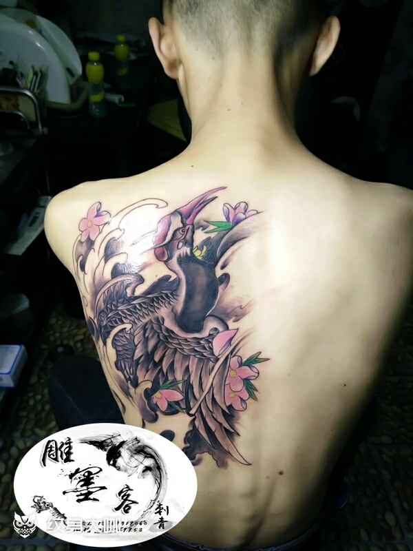 丹顶鹤_纹身图案手稿图片_杨明的纹身作品集