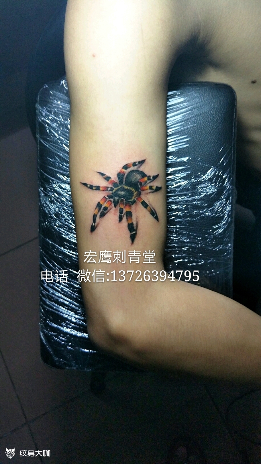 蜘蛛_纹身图案手稿图片_宏鹰tattoo的纹身作品集